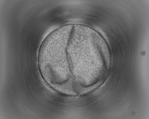 X0000095511386200801111403