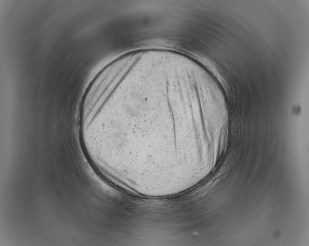 X0000095511387200801111403