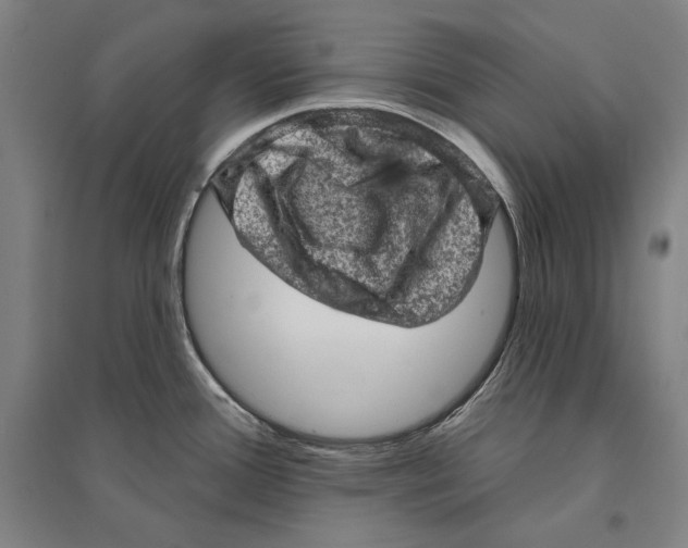 X0000095511388200801111403