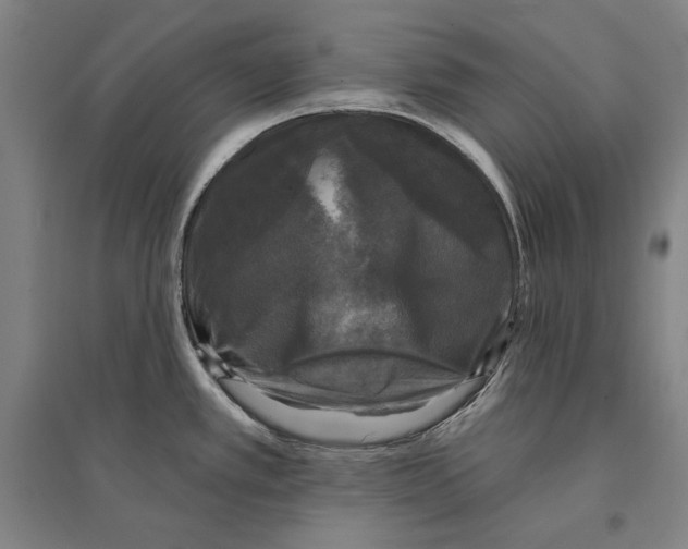 X0000095511389200801111403