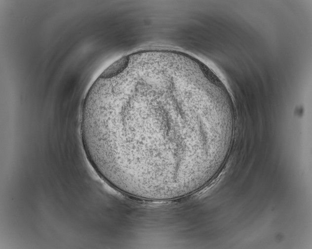 X0000095511390200801111403