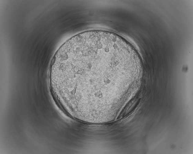 X0000095511391200801111403