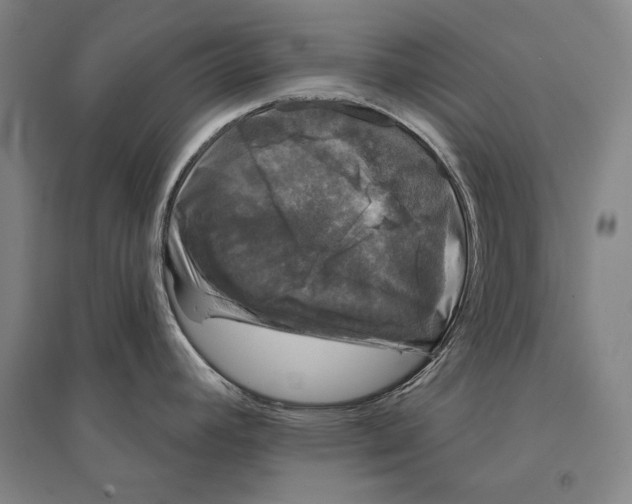 X0000095511392200801111403