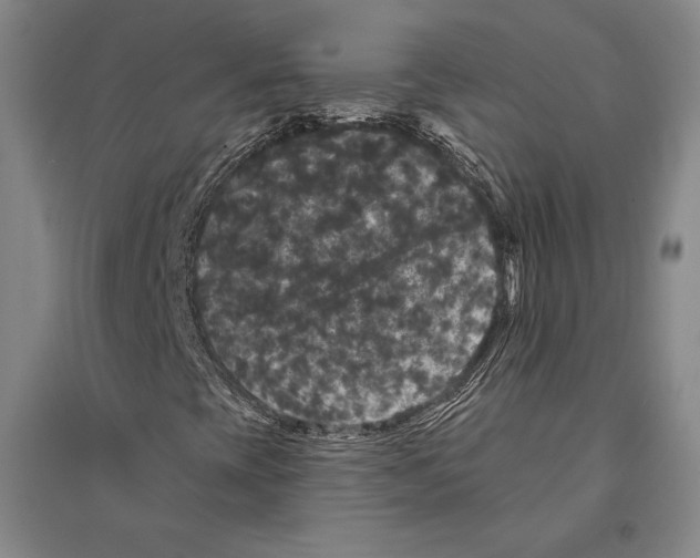 X0000095511393200801111402