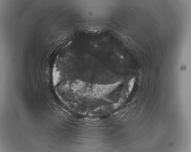 X0000095511394200801111402