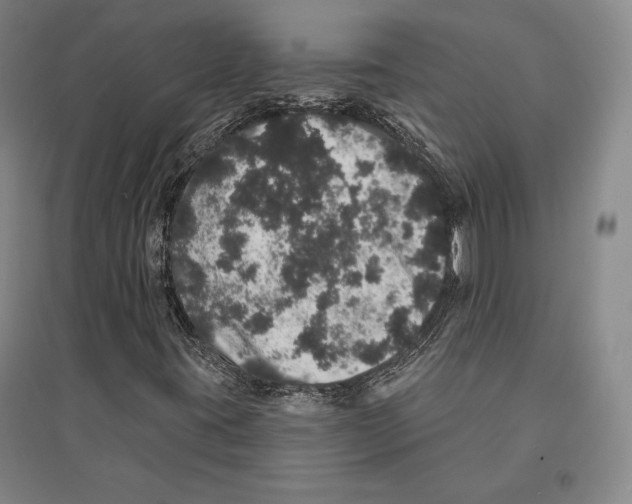 X0000095511395200801111402