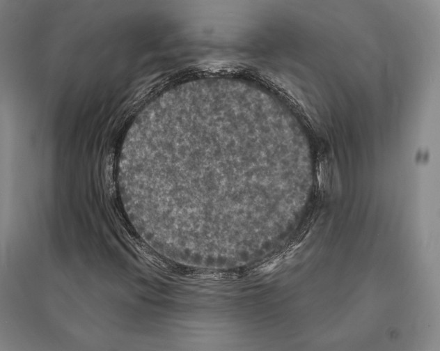 X0000095511396200801111402