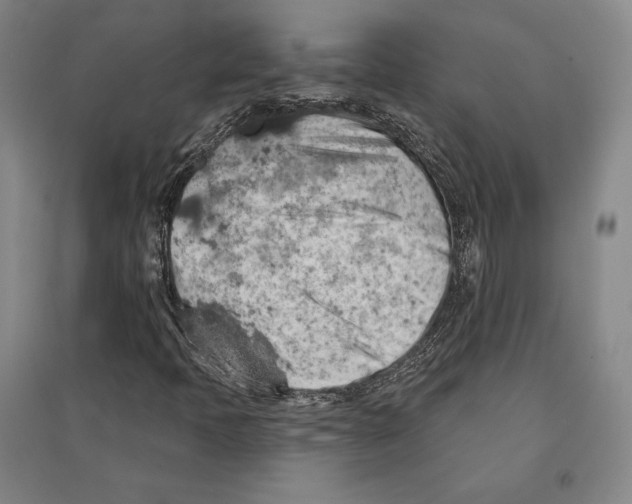 X0000095511397200801111402