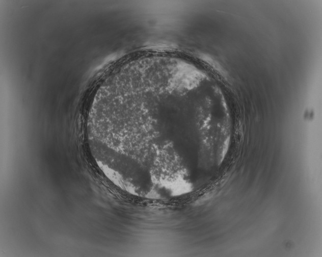 X0000095511398200801111402