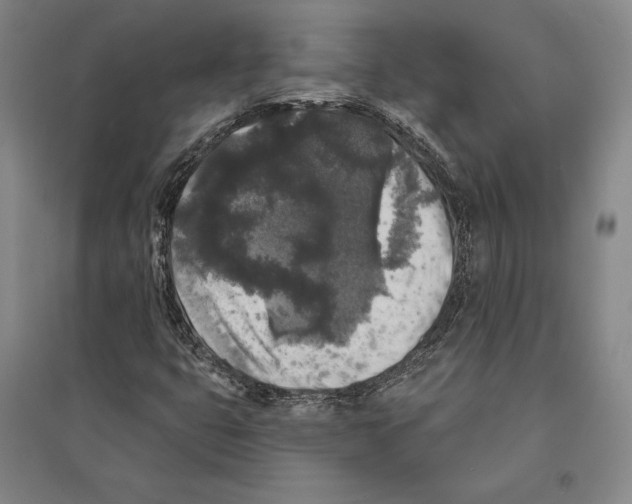 X0000095511399200801111402