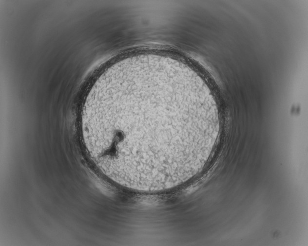 X0000095511402200801111402