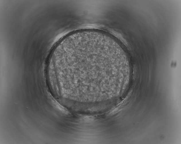 X0000095511404200801111402