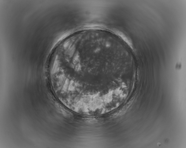 X0000095511405200801111402