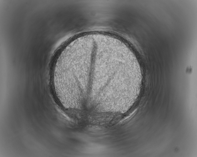 X0000095511406200801111402