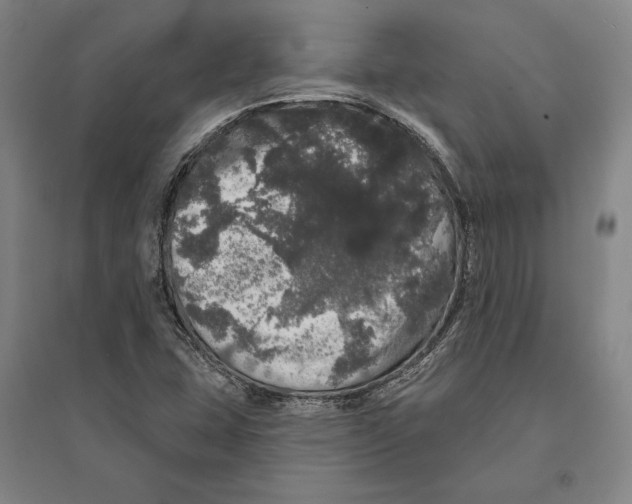 X0000095511407200801111402