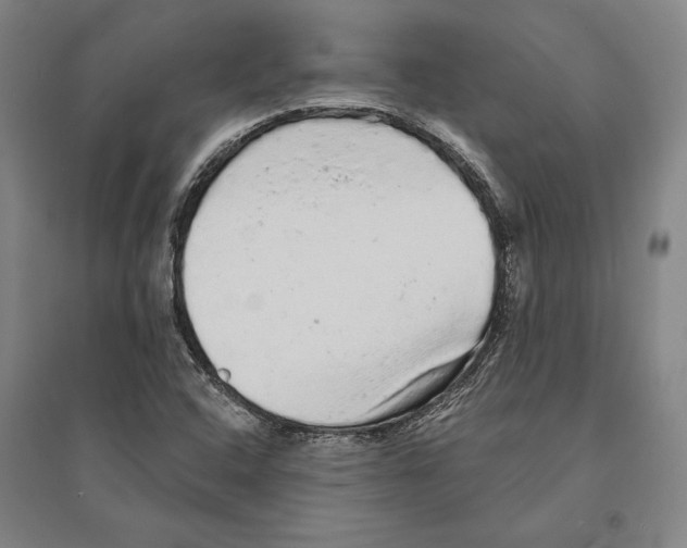 X0000095511408200801111402