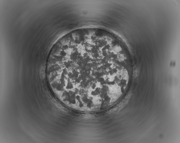 X0000095511409200801111402