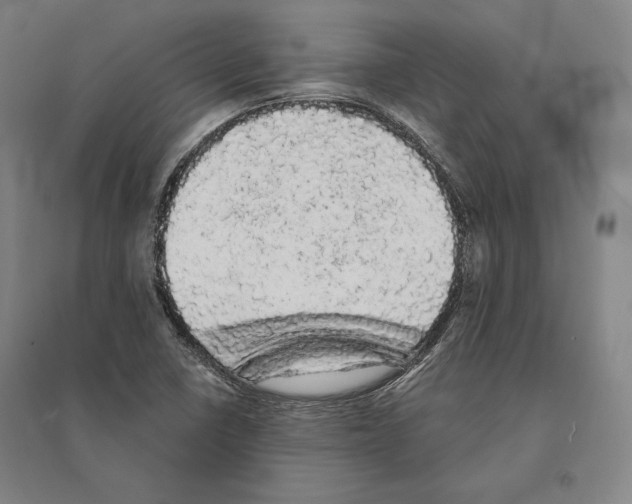 X0000095511410200801111402