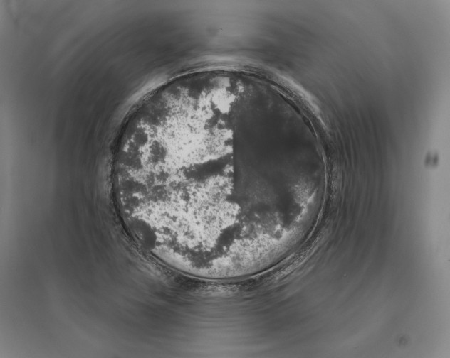 X0000095511411200801111402