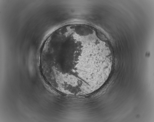 X0000095511413200801111402