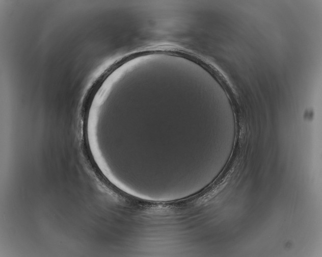 X0000095511414200801111403