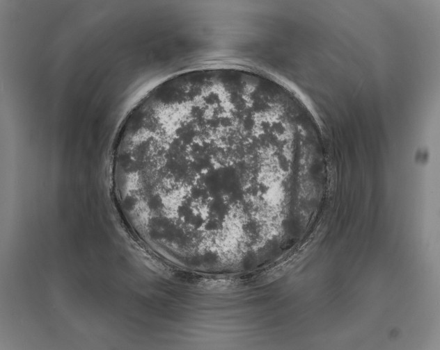 X0000095511415200801111403