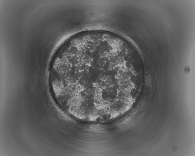 X0000095511416200801111403