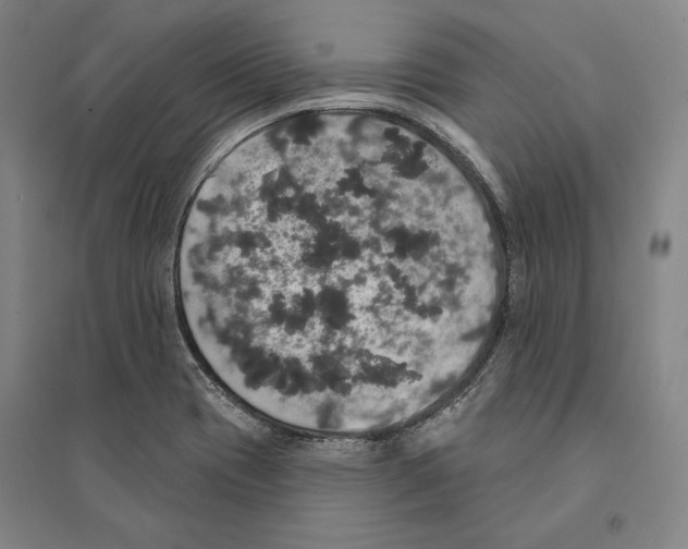 X0000095511417200801111403