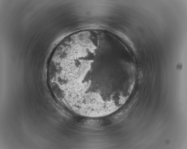 X0000095511419200801111403