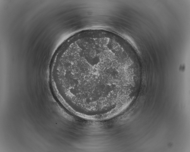 X0000095511420200801111403