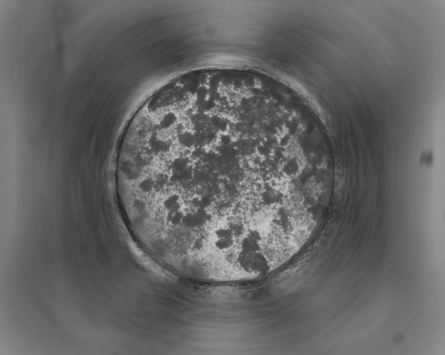 X0000095511421200801111403