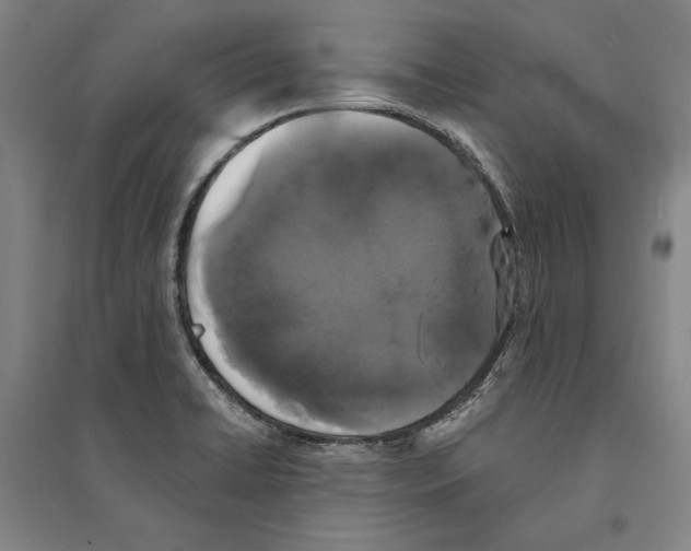 X0000095511422200801111403