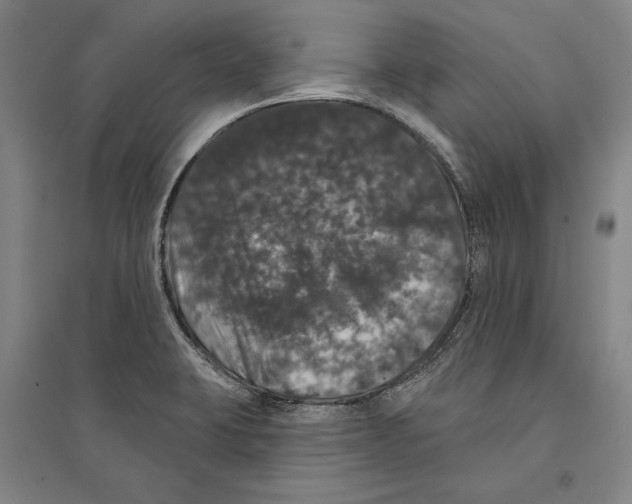 X0000095511423200801111403