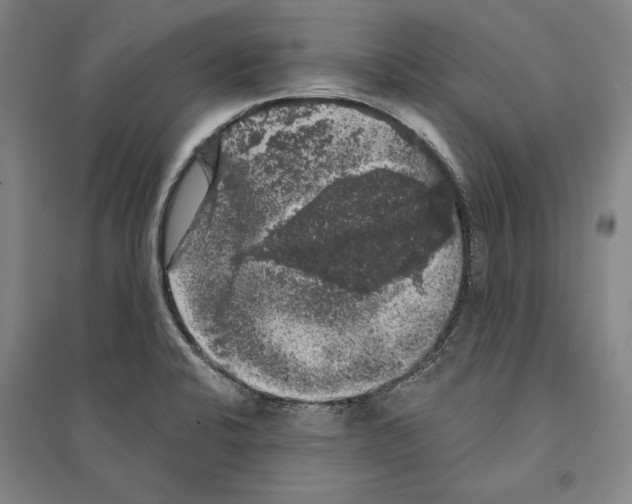 X0000095511424200801111403