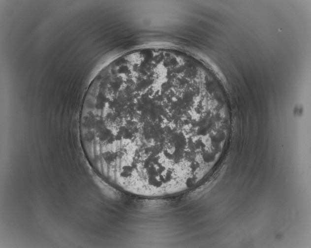 X0000095511425200801111403