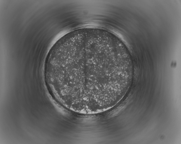 X0000095511426200801111403