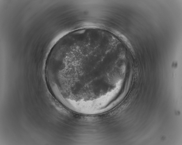 X0000095511427200801111403