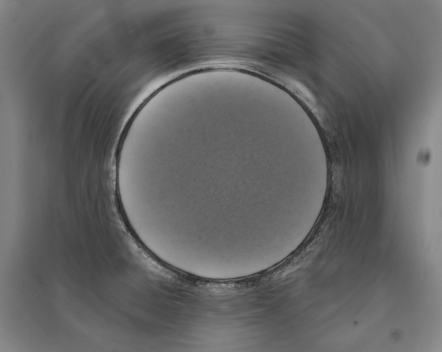 X0000095511428200801111403