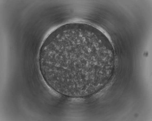 X0000095511429200801111403