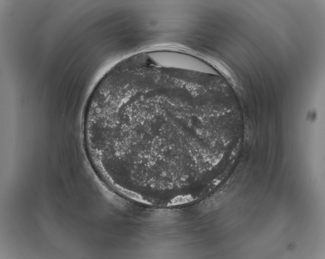 X0000095511430200801111403