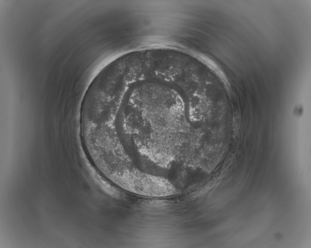 X0000095511431200801111403