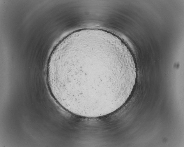 X0000095511432200801111403