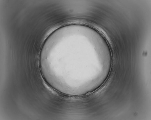 X0000095511433200801111403