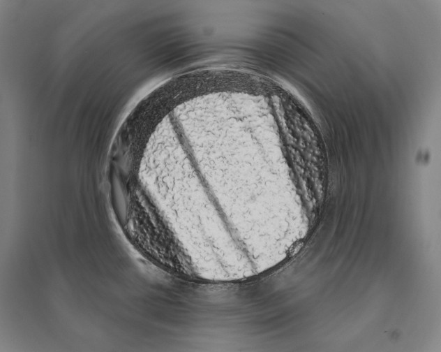 X0000095511434200801111403