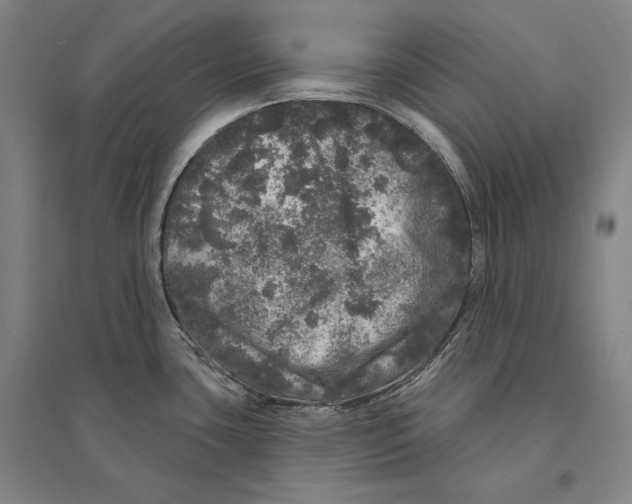 X0000095511435200801111403