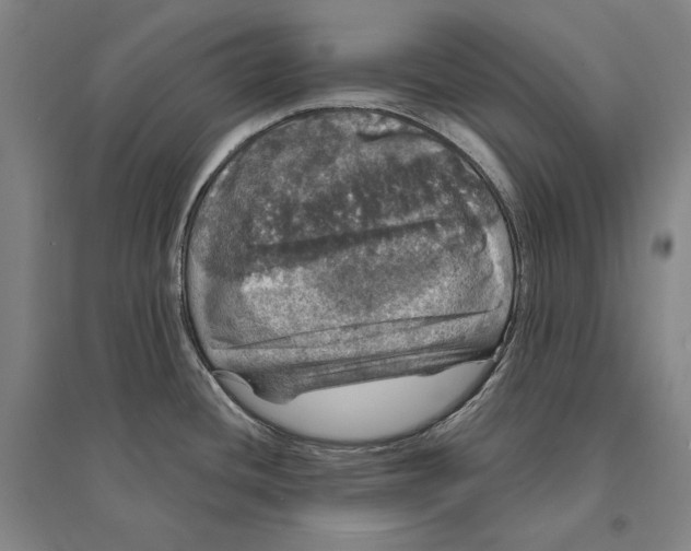 X0000095511436200801111403