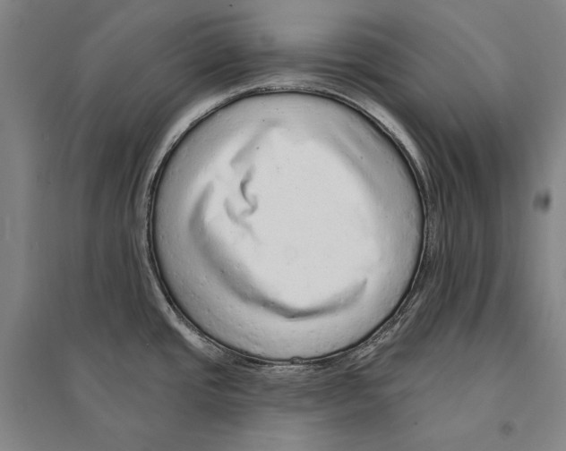 X0000095511437200801111403