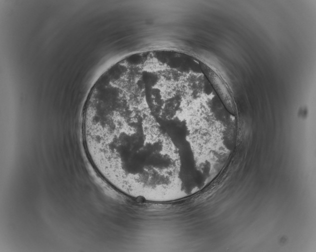 X0000095511439200801111403