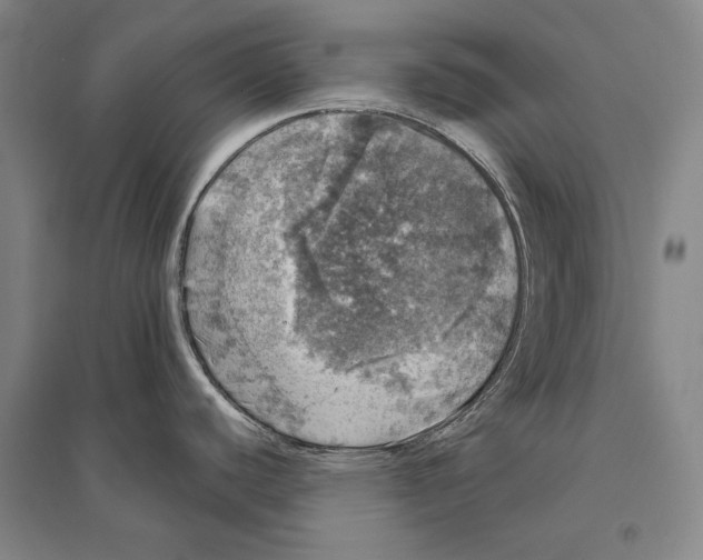 X0000095511440200801111403