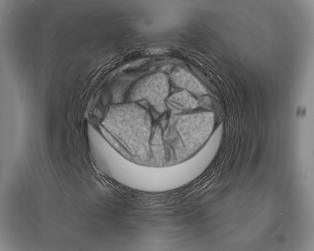 X0000095511441200801111402